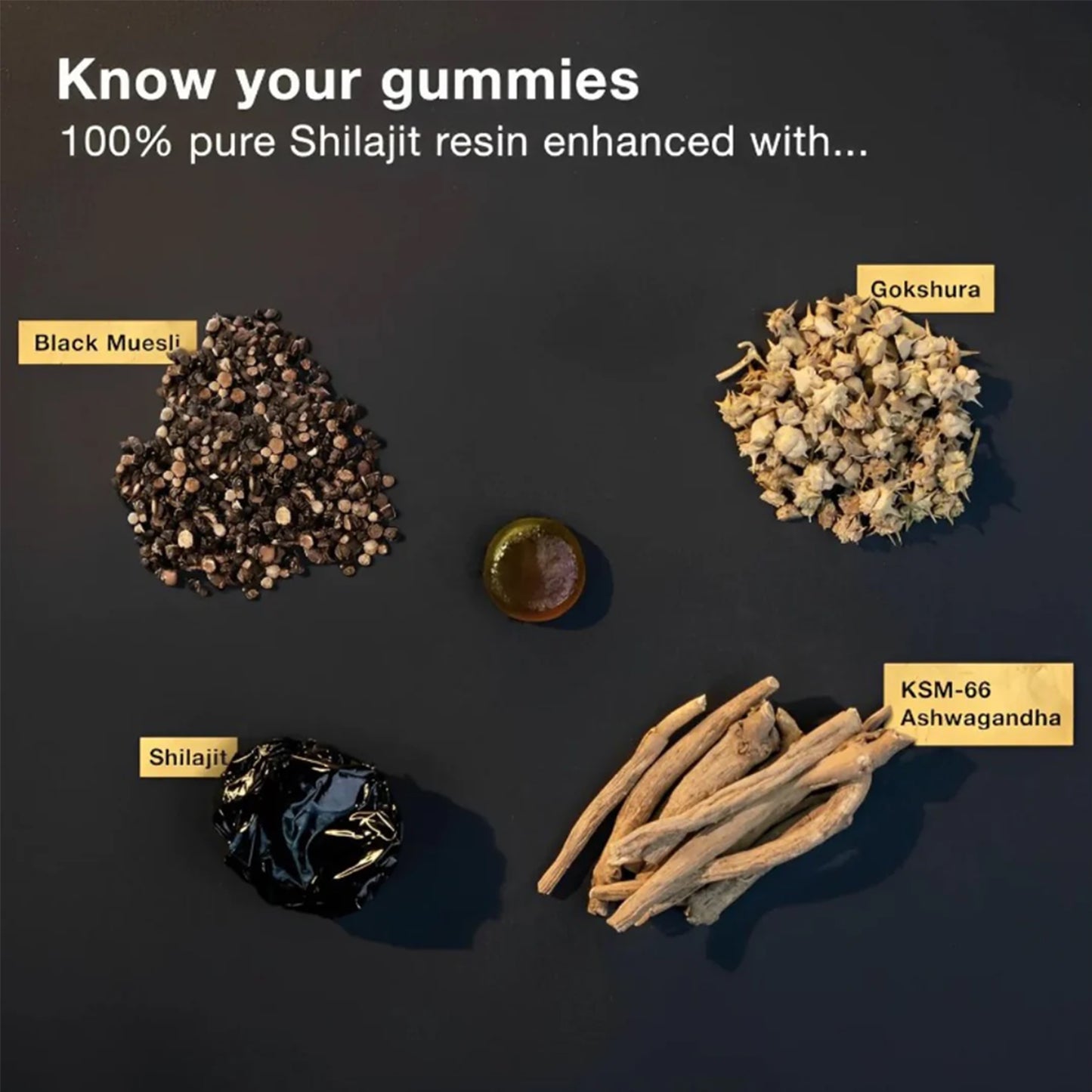 Alphuel™ Pure Shilajit Gummies